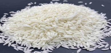 双螺杆工艺生产营养强化米
